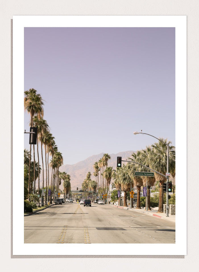 Shot by Clint - Palm-Lined Avenue Art Print_Sugar & Canvas_Shot by Clint