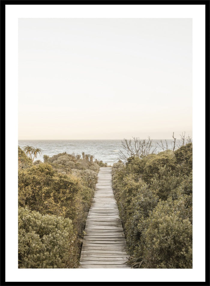 Shot by Clint - Pathway to Tranquility Art Print_Sugar & Canvas_Shot by Clint