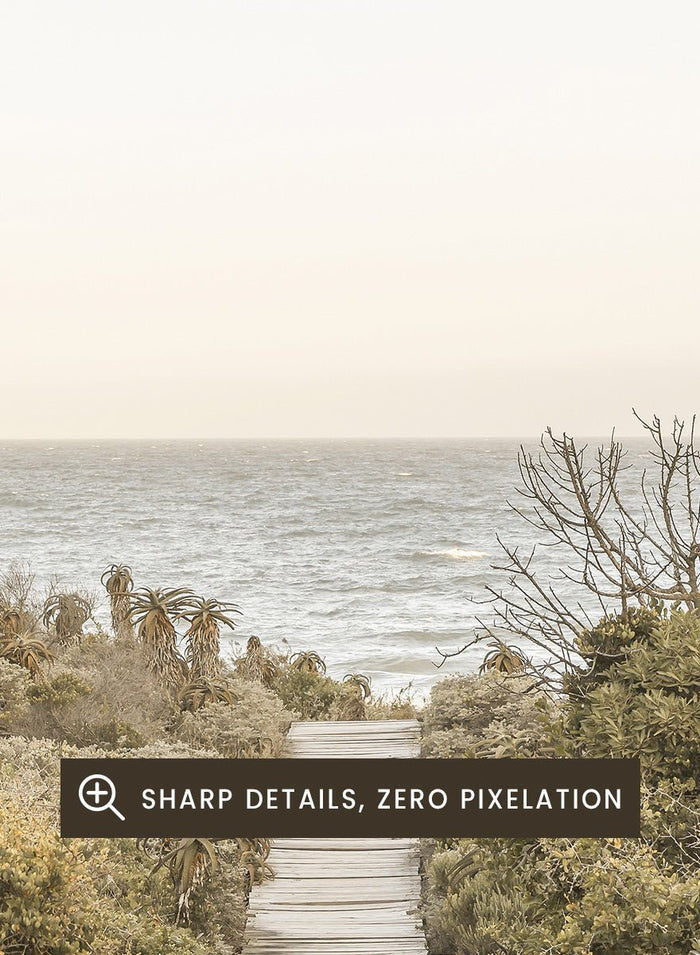 Shot by Clint - Pathway to Tranquility Art Print_Sugar & Canvas_Shot by Clint