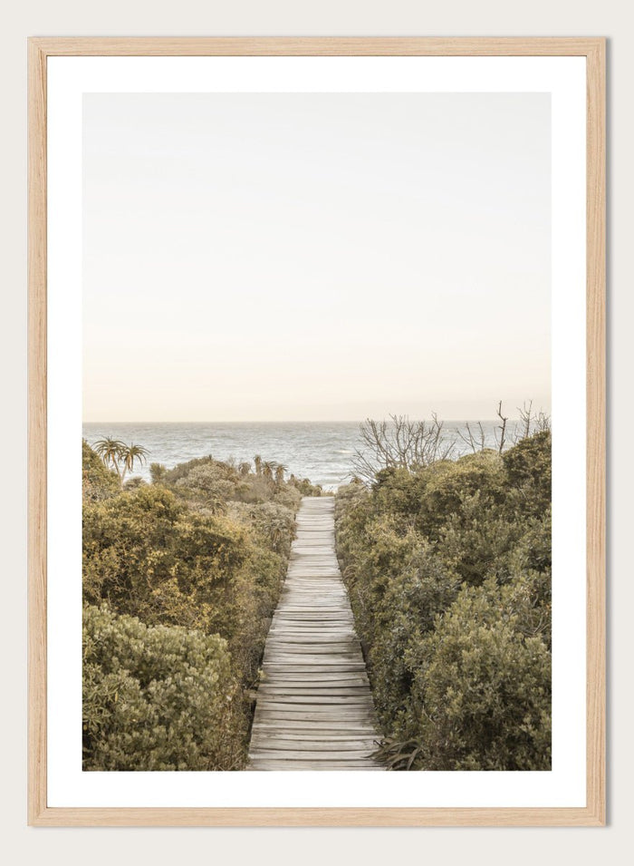 Shot by Clint - Pathway to Tranquility Art Print_Sugar & Canvas_Shot by Clint