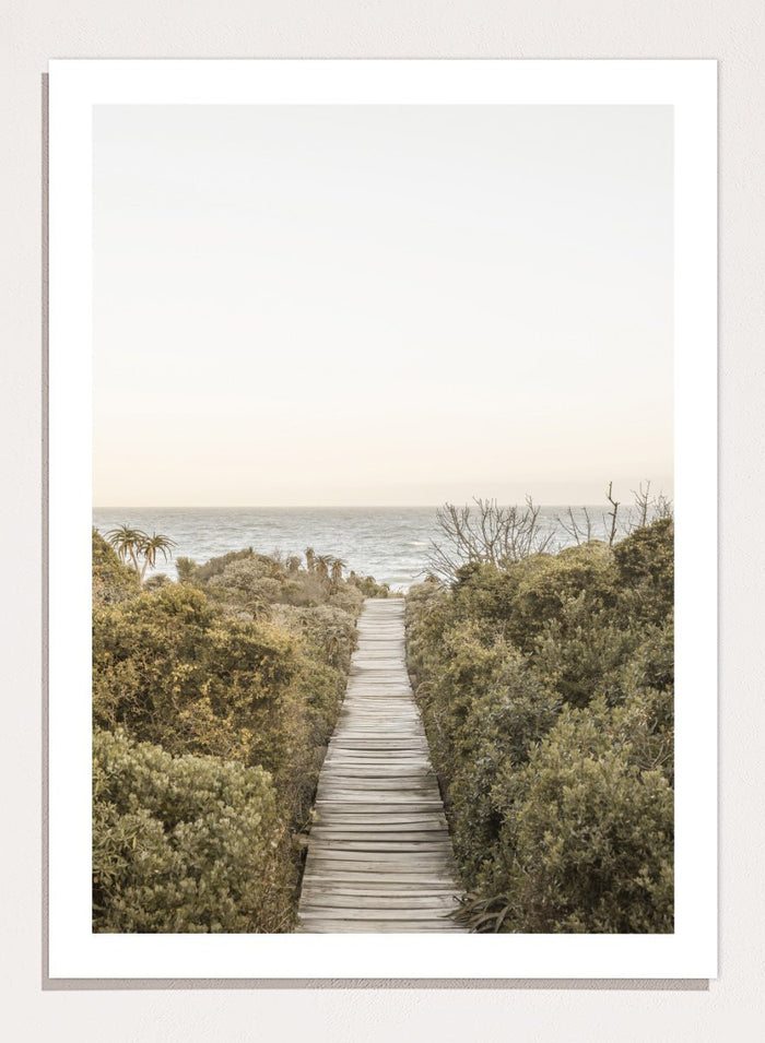 Shot by Clint - Pathway to Tranquility Art Print_Sugar & Canvas_Shot by Clint