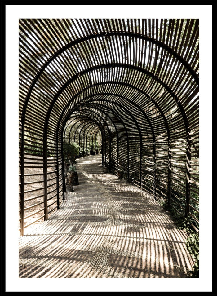 Shot by Clint - Shadow Garden Art Print_Sugar & Canvas_Shot by Clint