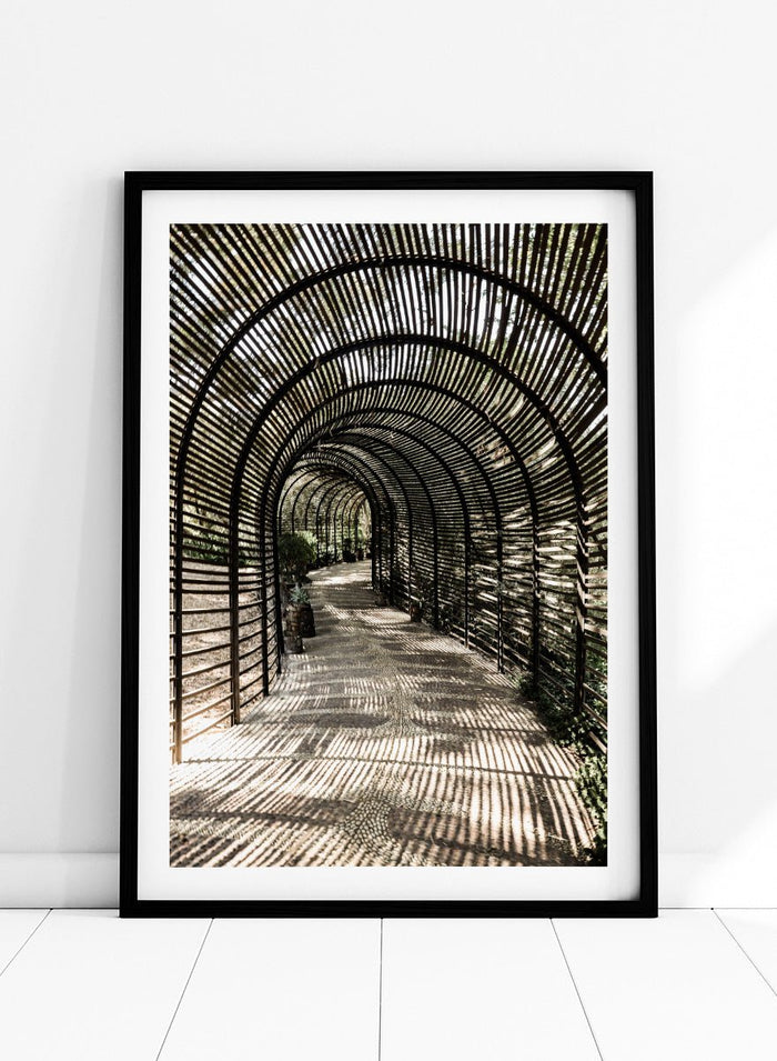 Shot by Clint - Shadow Garden Art Print_Sugar & Canvas_Shot by Clint