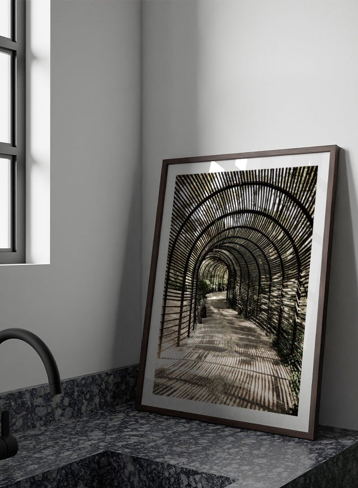 Shot by Clint - Shadow Garden Art Print_Sugar & Canvas_Shot by Clint