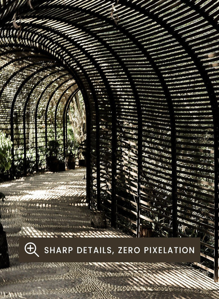 Shot by Clint - Shadow Garden Art Print_Sugar & Canvas_Shot by Clint