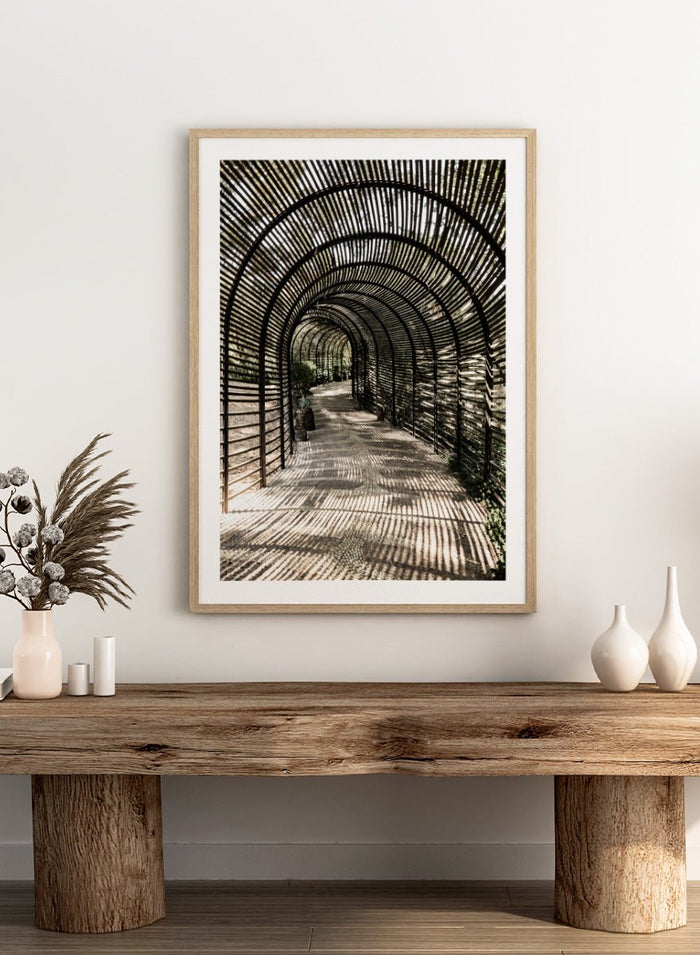 Shot by Clint - Shadow Garden Art Print_Sugar & Canvas_Shot by Clint