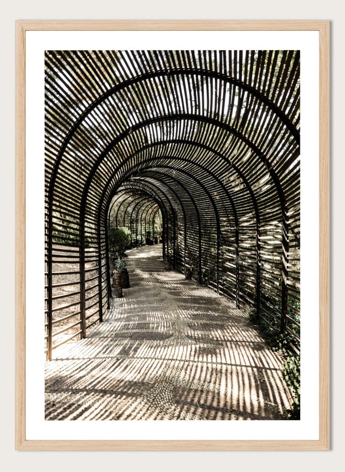 Shot by Clint - Shadow Garden Art Print_Sugar & Canvas_Shot by Clint