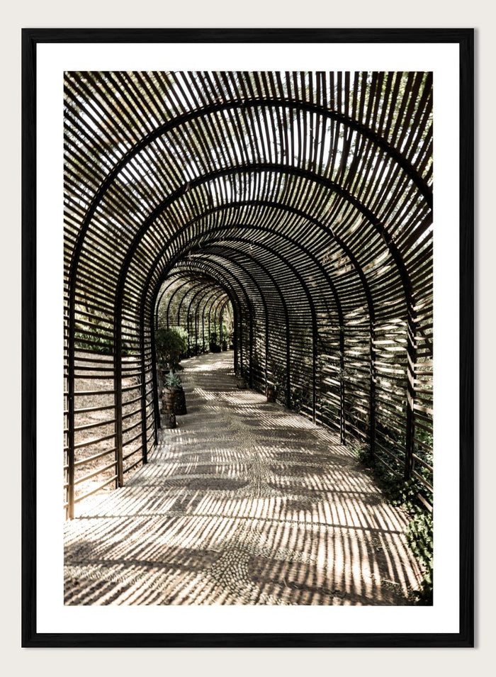 Shot by Clint - Shadow Garden Art Print_Sugar & Canvas_Shot by Clint