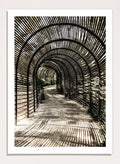 Shot by Clint - Shadow Garden Art Print_Sugar & Canvas_Shot by Clint