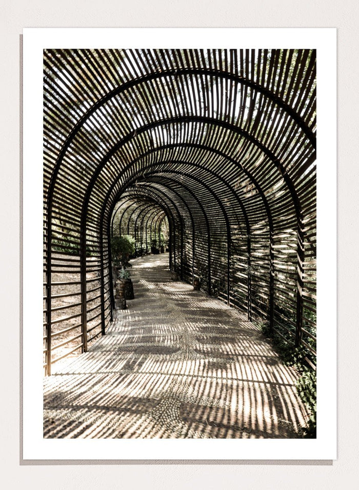 Shot by Clint - Shadow Garden Art Print_Sugar & Canvas_Shot by Clint