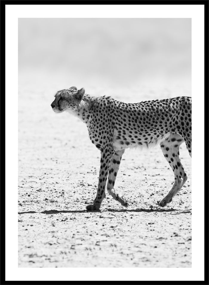 Shot by Clint - Silent Pursuit Art Print_Sugar & Canvas_Shot by Clint