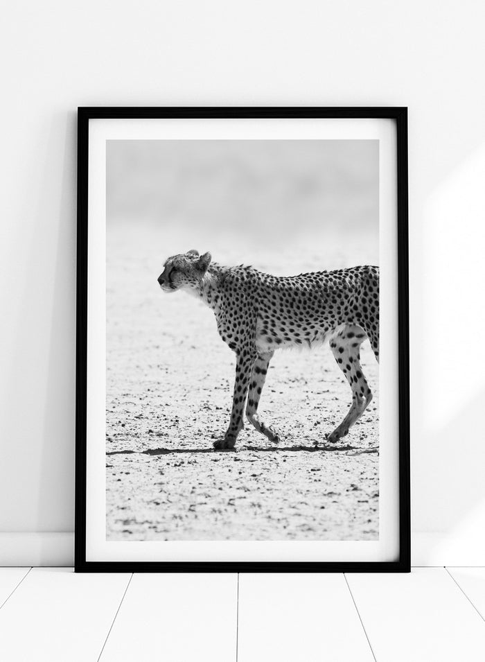 Shot by Clint - Silent Pursuit Art Print_Sugar & Canvas_Shot by Clint