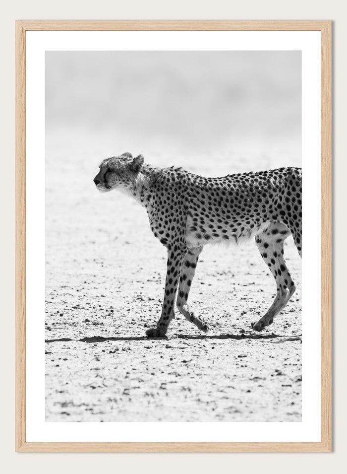 Shot by Clint - Silent Pursuit Art Print_Sugar & Canvas_Shot by Clint