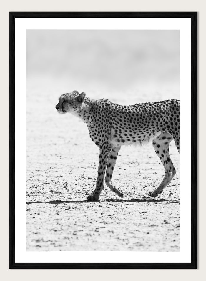 Shot by Clint - Silent Pursuit Art Print_Sugar & Canvas_Shot by Clint