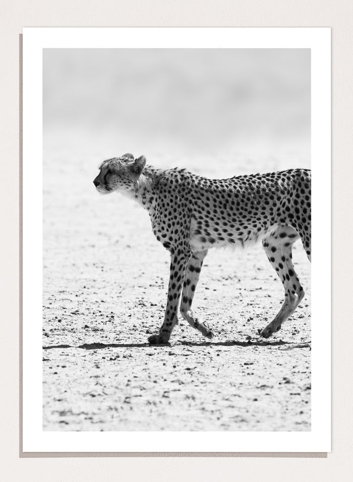 Shot by Clint - Silent Pursuit Art Print_Sugar & Canvas_Shot by Clint