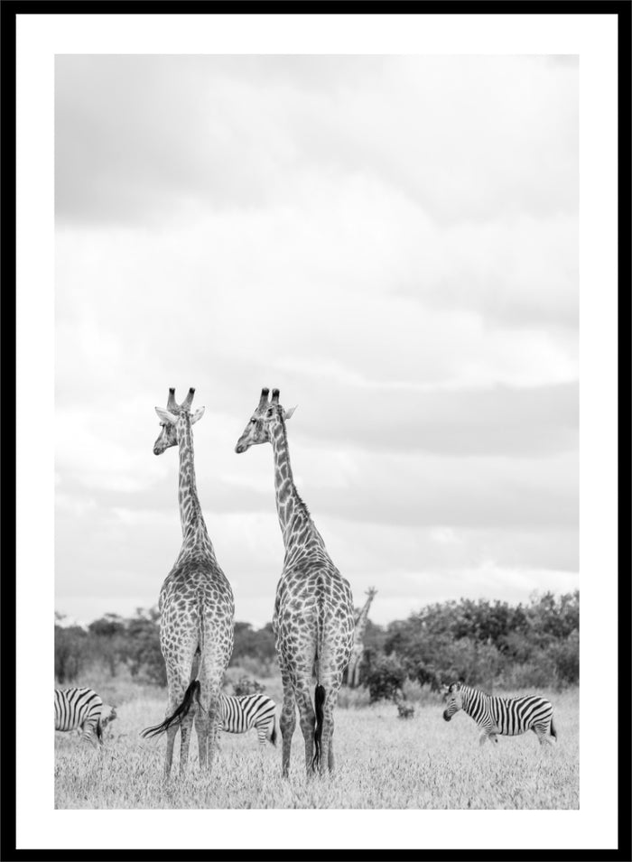 Shot by Clint - Super Safari Art Print_Sugar & Canvas_Shot by Clint