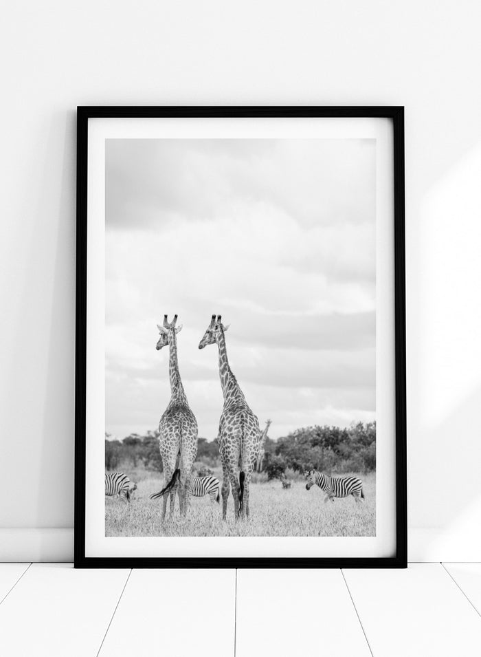 Shot by Clint - Super Safari Art Print_Sugar & Canvas_Shot by Clint