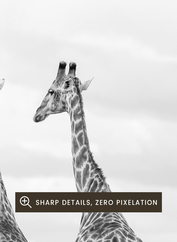 Shot by Clint - Super Safari Art Print_Sugar & Canvas_Shot by Clint