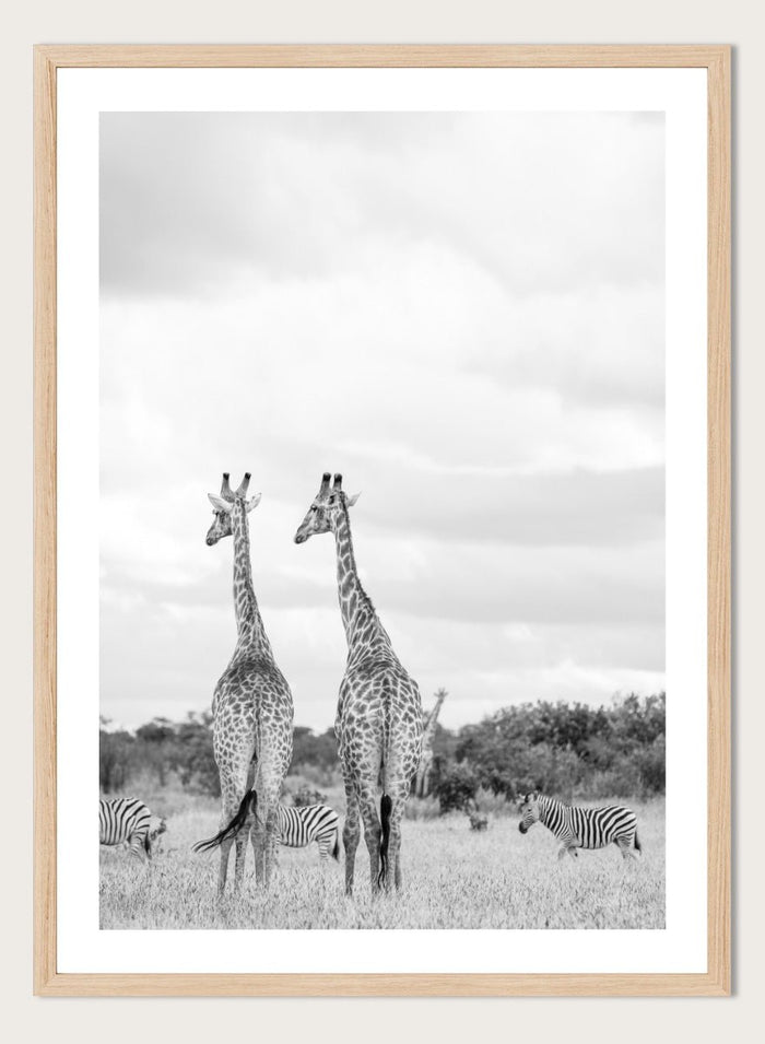 Shot by Clint - Super Safari Art Print_Sugar & Canvas_Shot by Clint