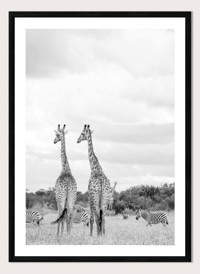 Shot by Clint - Super Safari Art Print_Sugar & Canvas_Shot by Clint