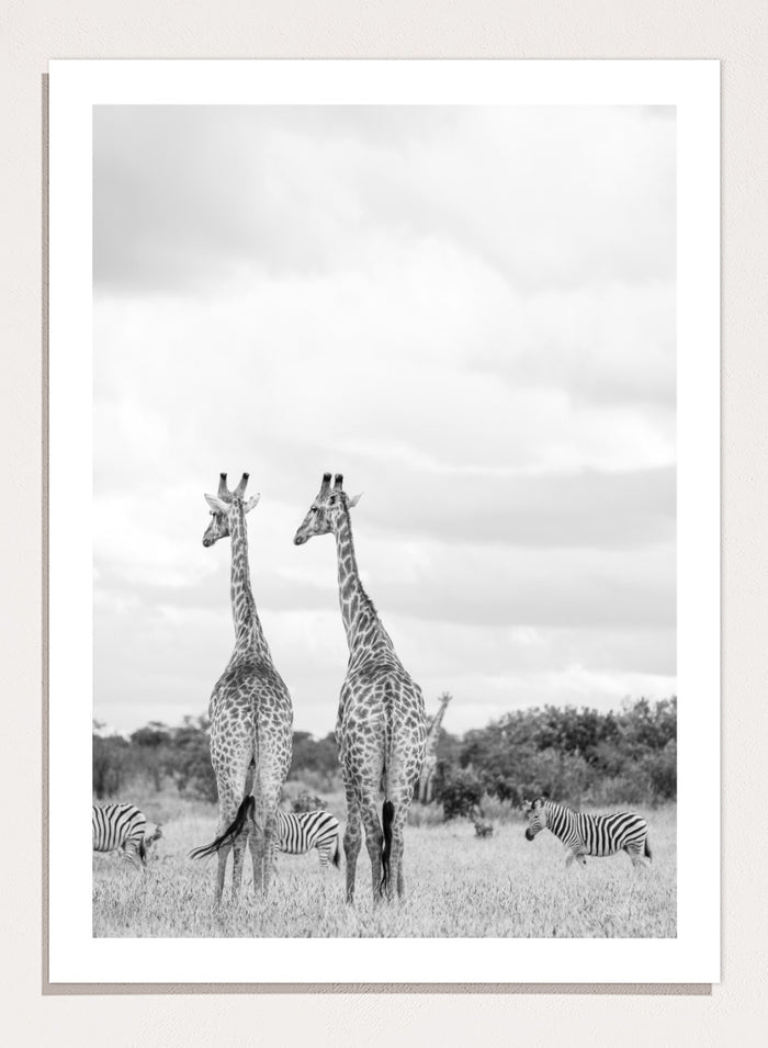 Shot by Clint - Super Safari Art Print_Sugar & Canvas_Shot by Clint