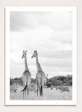 Shot by Clint - Super Safari Art Print_Sugar & Canvas_Shot by Clint
