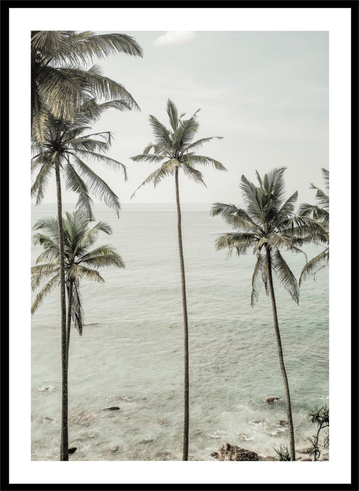 Shot by Clint - Tropical Dreams Art Print_Sugar & Canvas_Shot by Clint