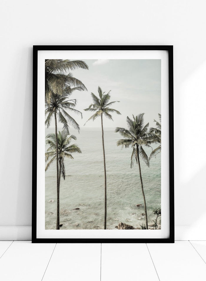 Shot by Clint - Tropical Dreams Art Print_Sugar & Canvas_Shot by Clint