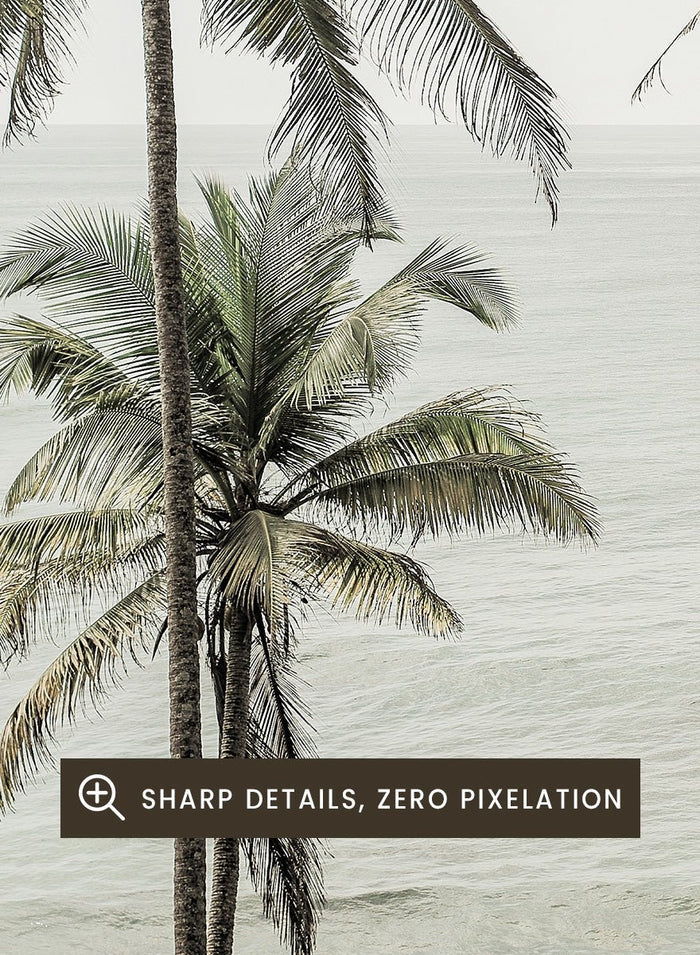 Shot by Clint - Tropical Dreams Art Print_Sugar & Canvas_Shot by Clint
