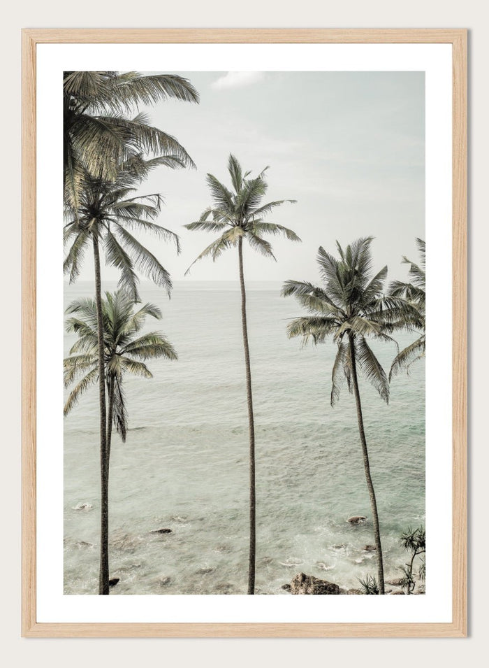 Shot by Clint - Tropical Dreams Art Print_Sugar & Canvas_Shot by Clint