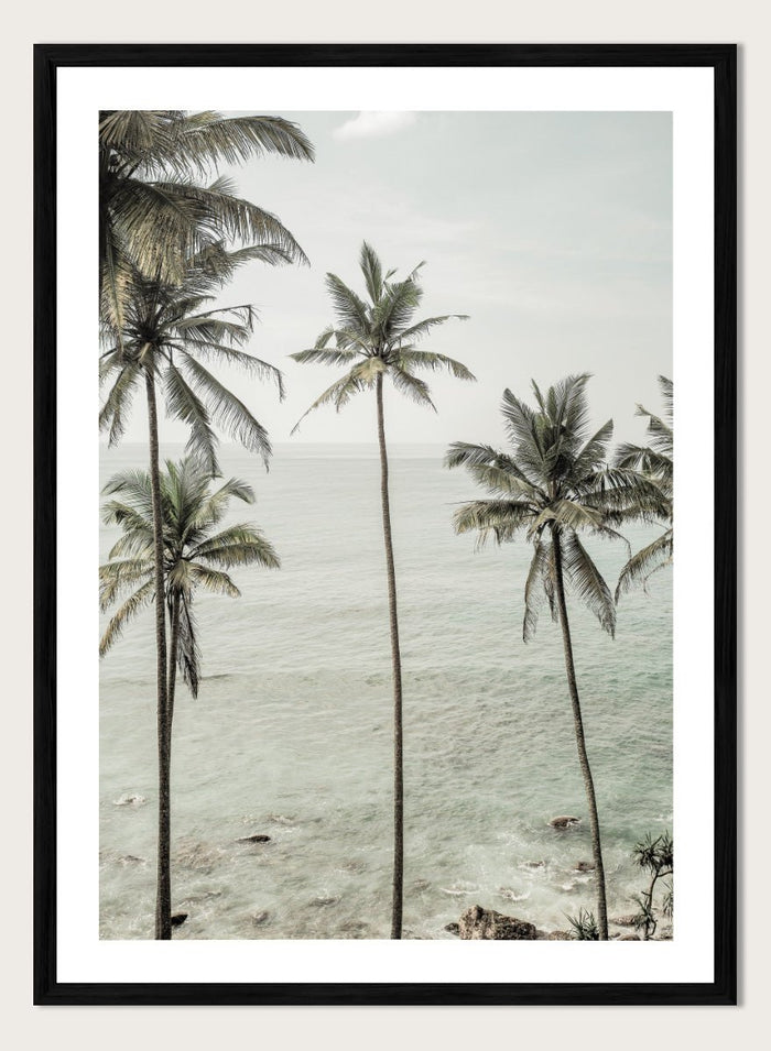 Shot by Clint - Tropical Dreams Art Print_Sugar & Canvas_Shot by Clint