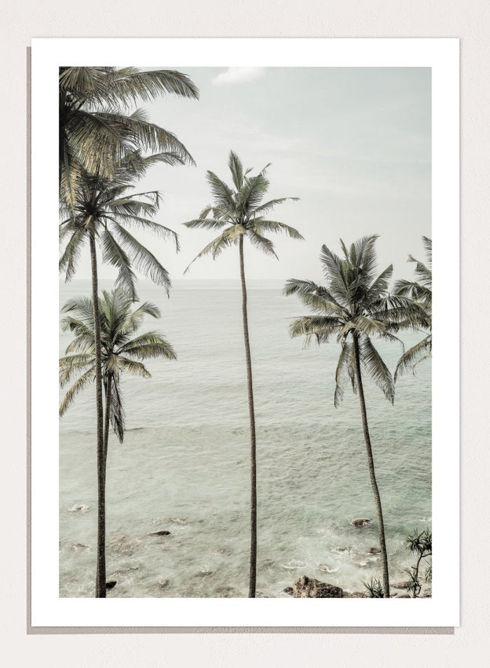 Shot by Clint - Tropical Dreams Art Print_Sugar & Canvas_Shot by Clint