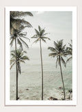 Shot by Clint - Tropical Dreams Art Print_Sugar & Canvas_Shot by Clint