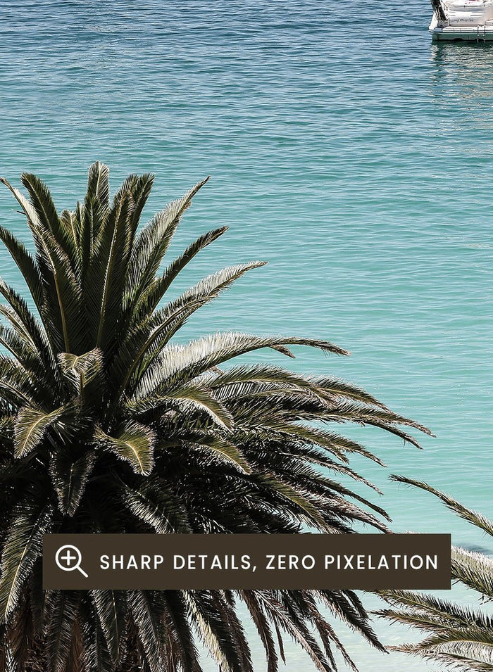 Shot by Clint - Tropical Serenity Art Print_Sugar & Canvas_Shot by Clint