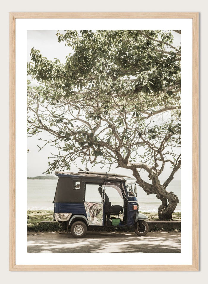 Shot by Clint - Tuk Tuk Tour Art Print_Sugar & Canvas_Shot by Clint