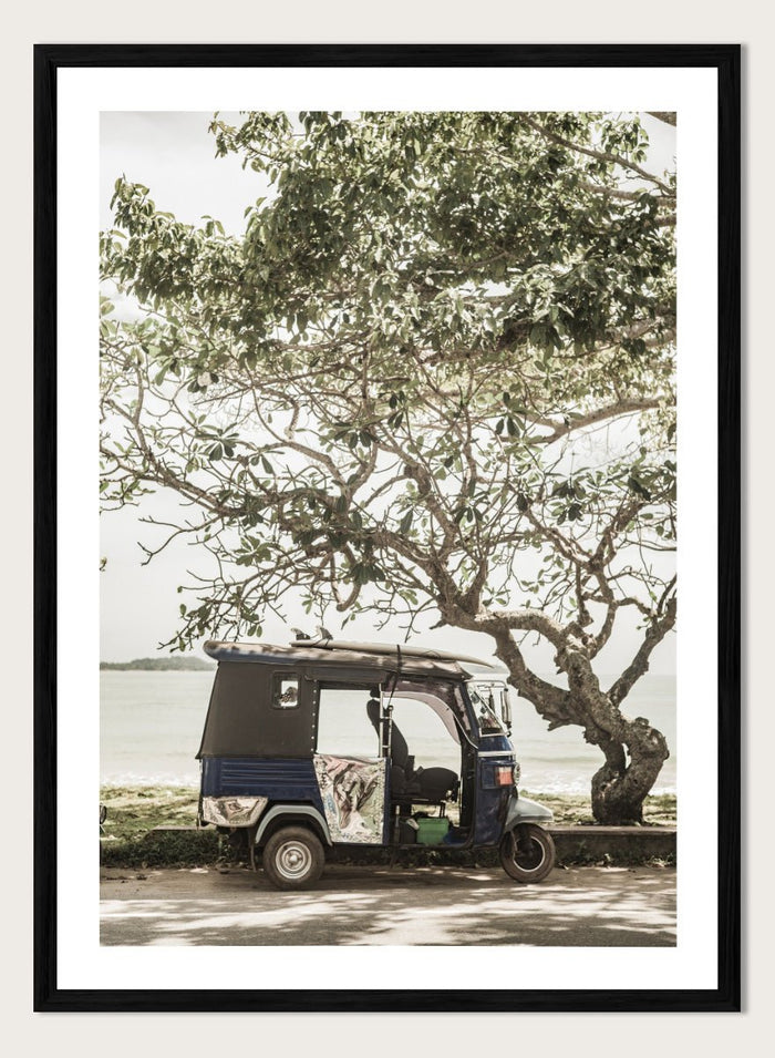 Shot by Clint - Tuk Tuk Tour Art Print_Sugar & Canvas_Shot by Clint