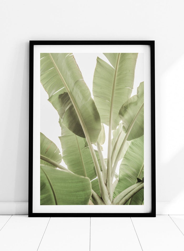 Shot by Clint - Verdant Leafscape Art Print_Sugar & Canvas_Shot by Clint