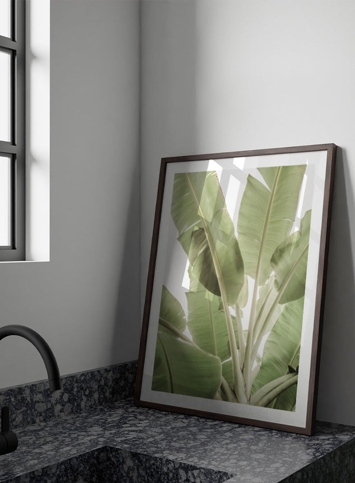 Shot by Clint - Verdant Leafscape Art Print_Sugar & Canvas_Shot by Clint