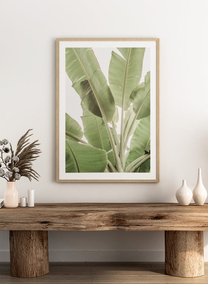Shot by Clint - Verdant Leafscape Art Print_Sugar & Canvas_Shot by Clint