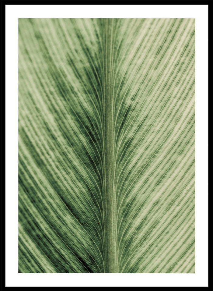 Shot by Clint - Verdant Veins Art Print_Sugar & Canvas_Shot by Clint