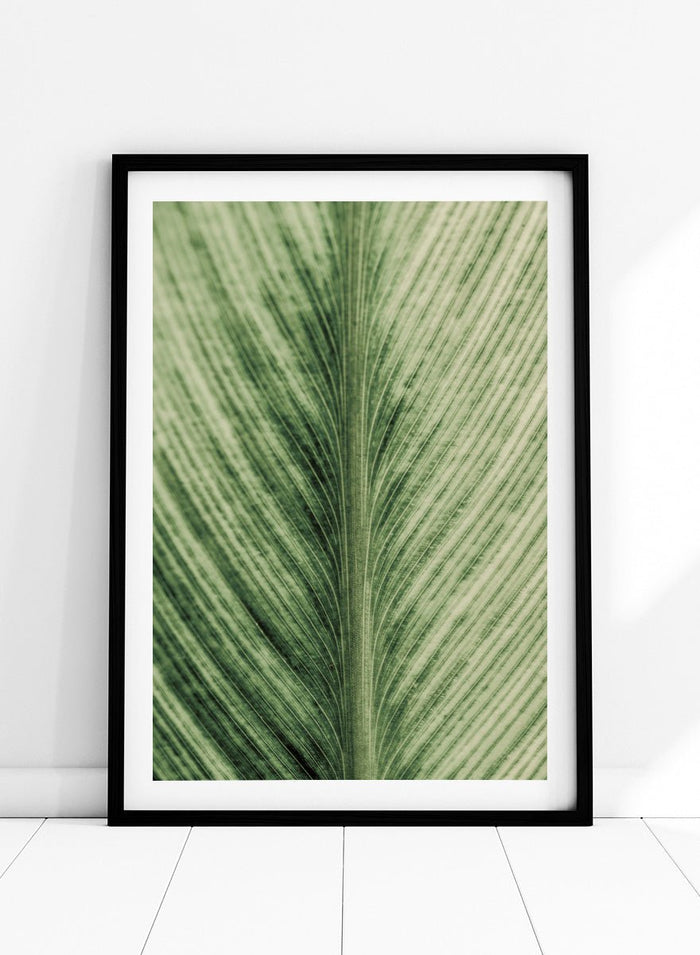 Shot by Clint - Verdant Veins Art Print_Sugar & Canvas_Shot by Clint