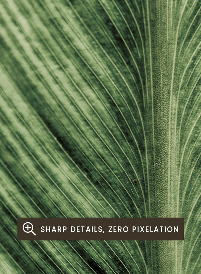 Shot by Clint - Verdant Veins Art Print_Sugar & Canvas_Shot by Clint