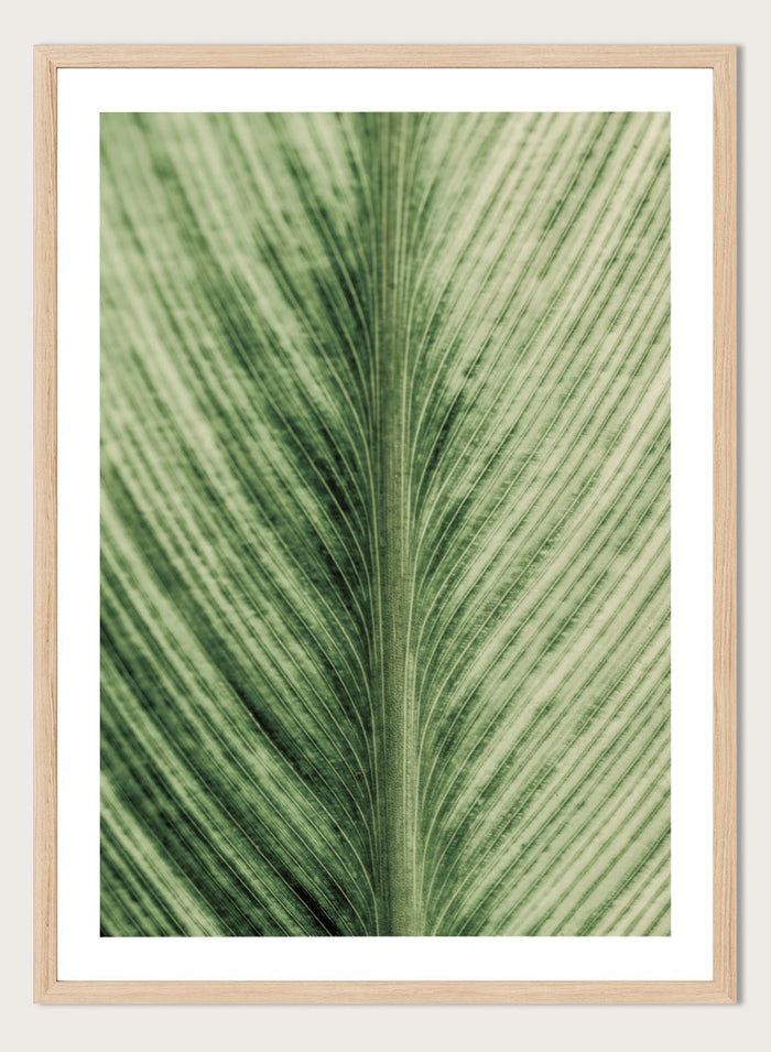 Shot by Clint - Verdant Veins Art Print_Sugar & Canvas_Shot by Clint
