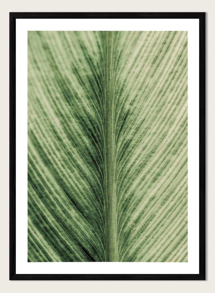 Shot by Clint - Verdant Veins Art Print_Sugar & Canvas_Shot by Clint
