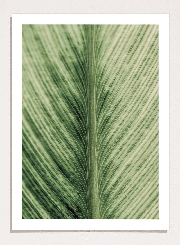Shot by Clint - Verdant Veins Art Print_Sugar & Canvas_Shot by Clint
