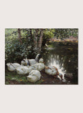 "Six Ducks by the Lake" Art Print_Sugar & Canvas_Koester Alexander