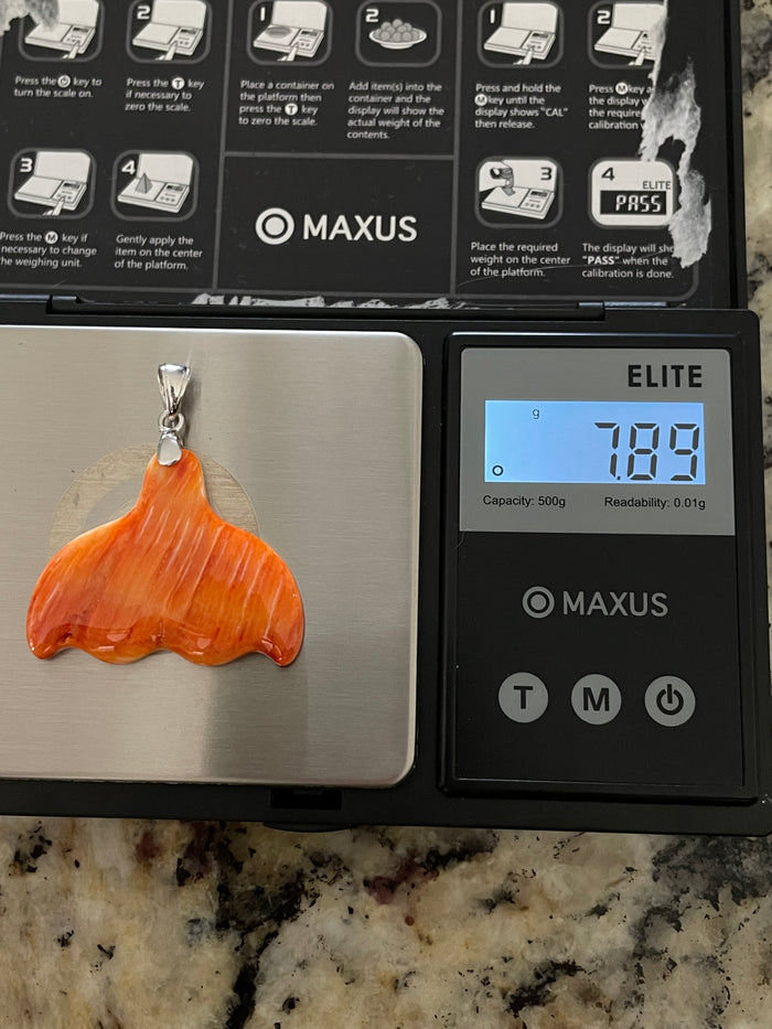 Spiny Oyster Whale Tail Pendant | 925 Sterling Silver E274