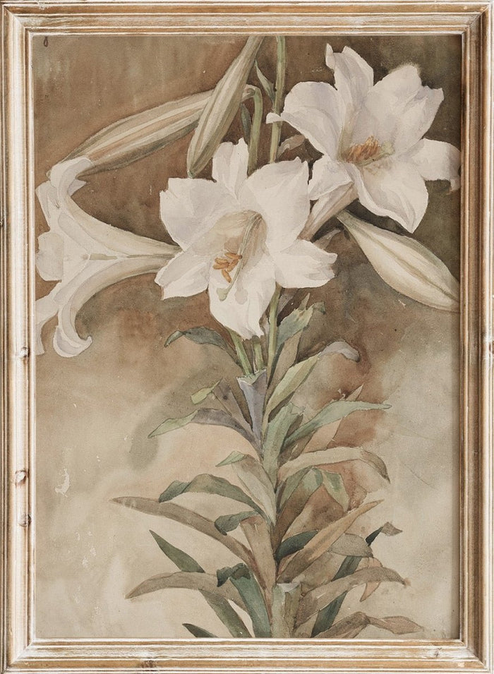 "Still Life of Easter Lilies" Art Print_Sugar & Canvas_John La Farge