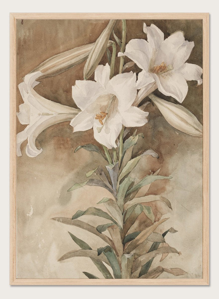 "Still Life of Easter Lilies" Art Print_Sugar & Canvas_John La Farge