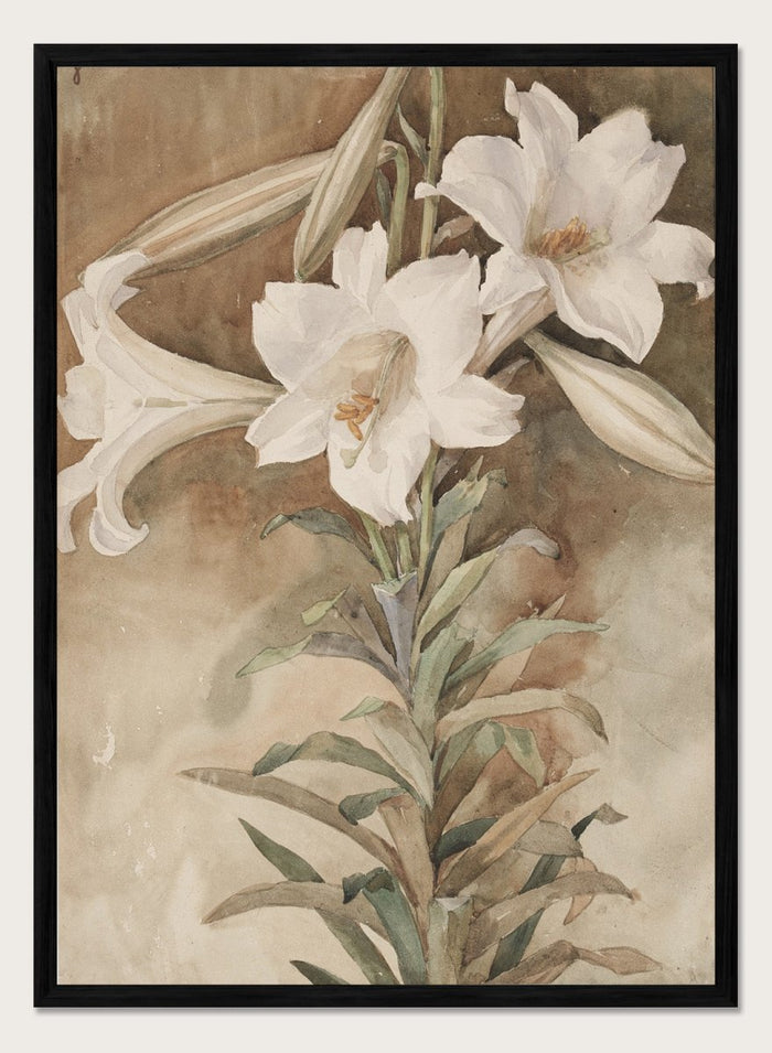 "Still Life of Easter Lilies" Art Print_Sugar & Canvas_John La Farge